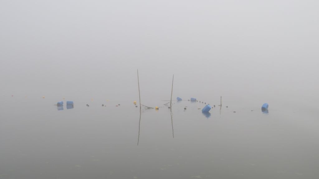 Bottengarn i dimma. Foto: Tekniska verken