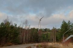 Ett vindkraftverk står i låglänt barrskog, med en grusväg i förgrunden