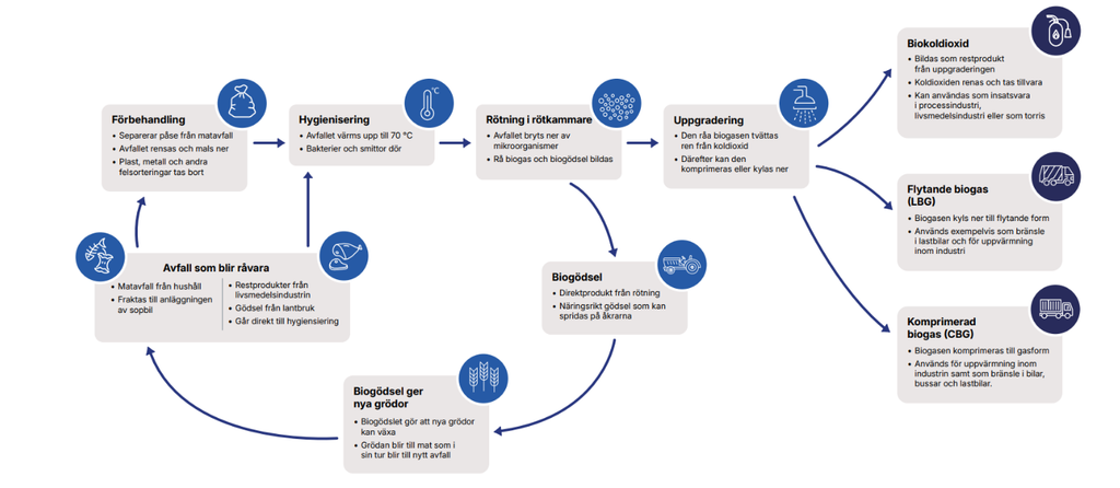 Biogasens kretslopp hos Tekniska verken