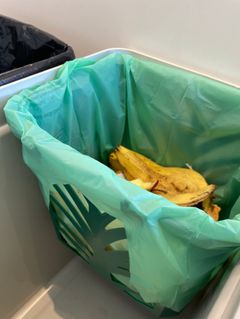Ett avfallskärl som släpper in luft underlättar för den nya påsen att "andas" bort fukt.