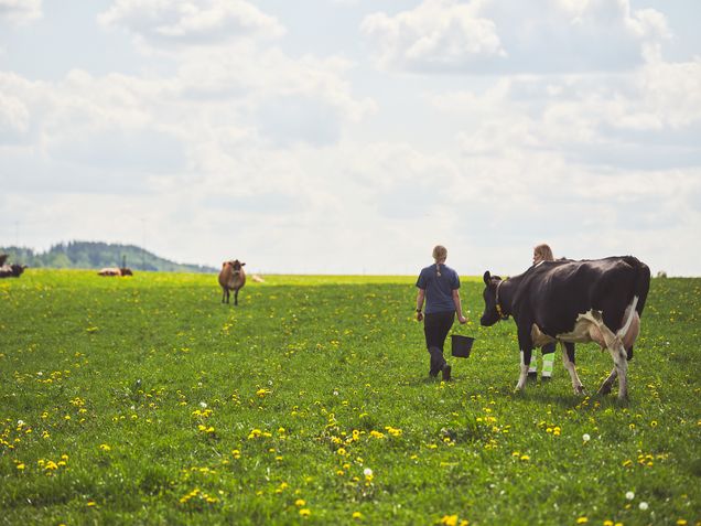 Vem ska se till att vi får mat på bordet i framtiden?