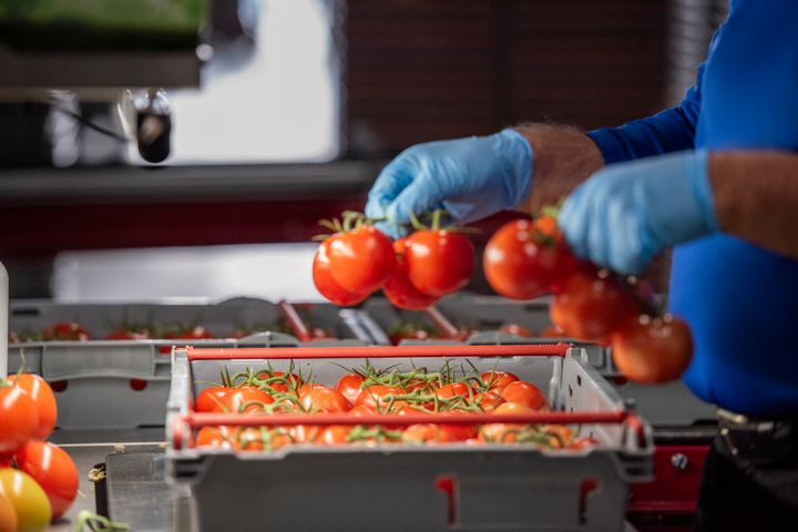 Efter utmanande men konstruktiva förhandlingar har vi lyckats hantera frågan om arbetstidsförkortning på ett sätt som är anpassat för branschen där arbetsgivare har möjlighet att förlägga den utifrån verksamheten, säger Anna Vargö förhandlingschef Gröna arbetsgivare.