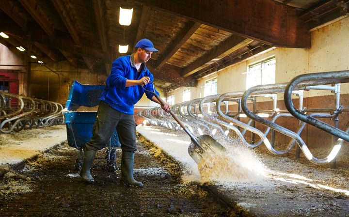 En förlängning av tillståndstiden för säsongsarbetare till nio månader är en viktig anpassning till de gröna näringarnas förutsättningar.