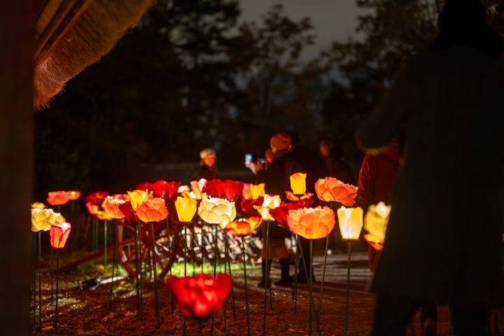 Gäster upplever ljusblommor utanför Skånegården på Skansen.