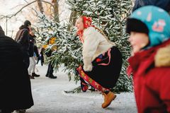 Dans runt granen under jul på Skansen.
