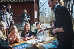 Barn lär sig om ägg och höns från en av Skansens djurvårdare.
