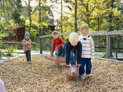Barn leker på Skansen