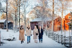 Fira julafton på Skansen – med kulturarv, gemenskap och ny vildren.