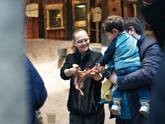 På Lill-Skansen öppnas sista luckan i årets julkalender på julafton.