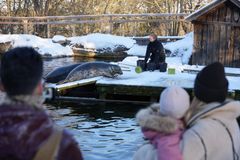 Sälprat på Skansen.