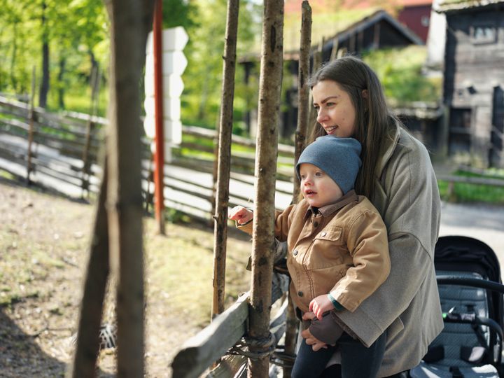 Skansen utses till Sveriges mest hållbara varumärke inom rese- och turismbranschen i Sustainable Brand Index 2026.