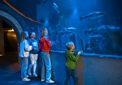 Följ med under ytan i Östersjön på Baltic Sea Science Center.