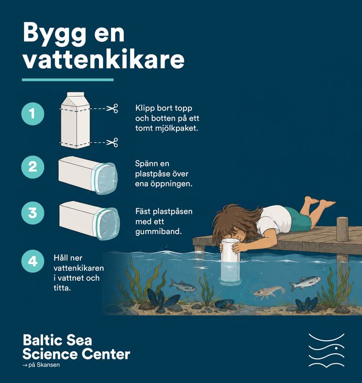 Ett tomt mjölkpaket, en plastpåse och en gummisnodd är allt som behövs för att bygga en egen vattenkikare.