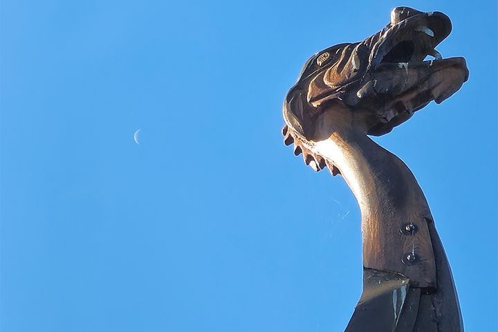 Vikingabåten Åfare har fått ett nytt drakhuvud. Foto: Daniel Jansson, Upplands Väsby kommun