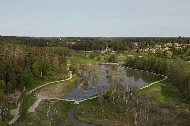 Sanda våtmark i Upplands Väsby är en kolsänka där över tre hektar återvätats.