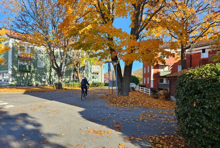 Upplands Väsby kommun startar en inventering av kulturhistorisk bebyggelse i Väsby. Bilden visar Stjärnhusen vid Bills backe, Runby. Bostadshusen var arbetarbostäder som byggdes på tidigt 1950-tal av Svenska Metallverken.