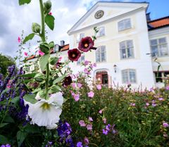 Blommande trädgård framför Stiftsgården Stjärnholm, en vit byggnad med stora fönster och en klocka över entrén.