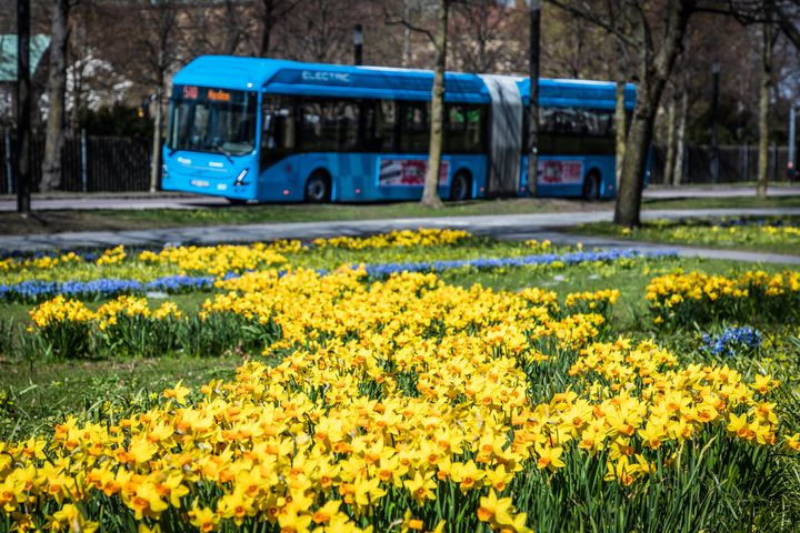 Tågtrafiken påverkas av underhållsarbeten i påsk. Foto: Eddie Löthman