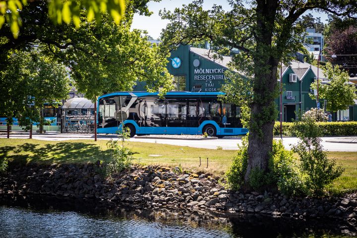 Blå buss kör i grönska