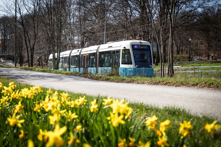 Nu är Göteborgs Stads subvention lanserad, vilket gör det billigare för göteborgare att resa kollektivt.