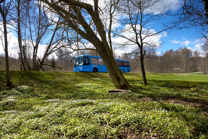 Busstrafiken i Lerum har upphandlats.