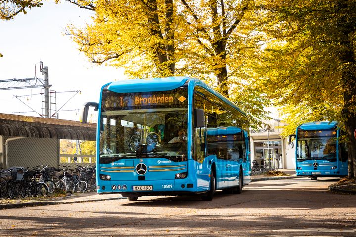 Den 17 augusti börjar den vanliga tidtabellen att gälla. Samtidigt får flera linjer Alingsås mer morgontrafik.