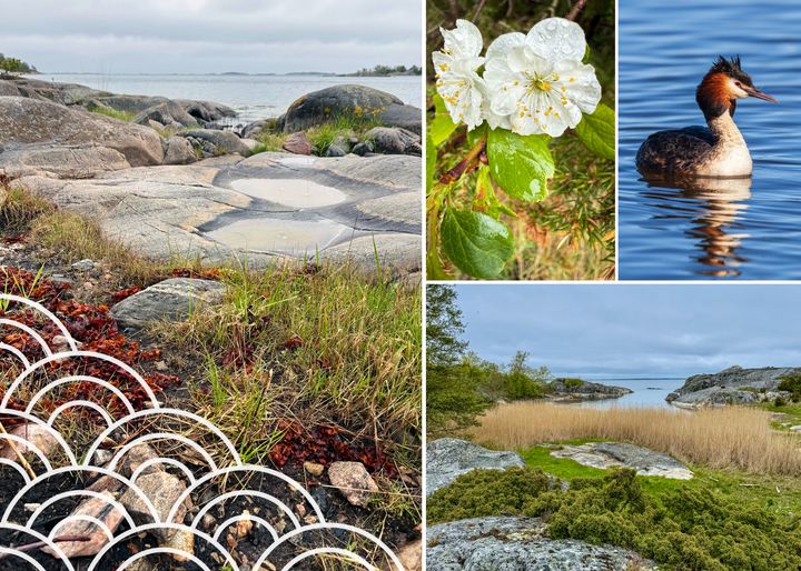 Bilder från blivande Nämdö Nationalpark