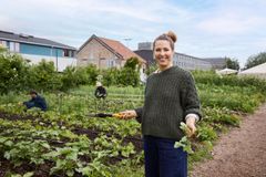 Personer arbetar i en stadsodling på CopenPay 2025. Foto: Copenhagen Media Center