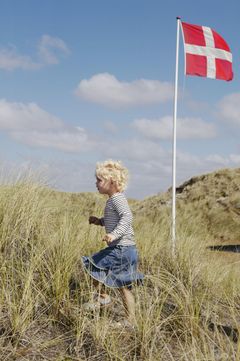Danmark kan locka 4 miljoner svenskar till semester. Foto: Niclas Jessen
