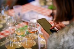 Danska Mästerskapen i alkoholfri öl under Tivoli Food Festival 23-31 maj. Foto: Tivoli Food Festival