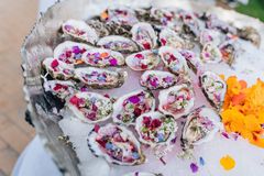 Rosa ostron. Foto: Food Organisation of Denmark