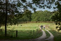 Haervejen är Danmarks längsta vandringsled. Foto: Kenneth Stjernegaard/VisitVejle