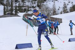 Magdalena Olsson leder världscupen i skidorientering inför de tre avslutande tävlingarna i Estland.