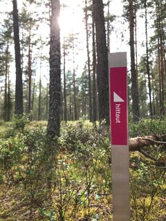 Hittaut växer och fler vill arrangera friskvårdssatsningen