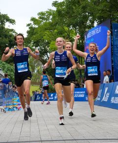 Svenska lagets målgång