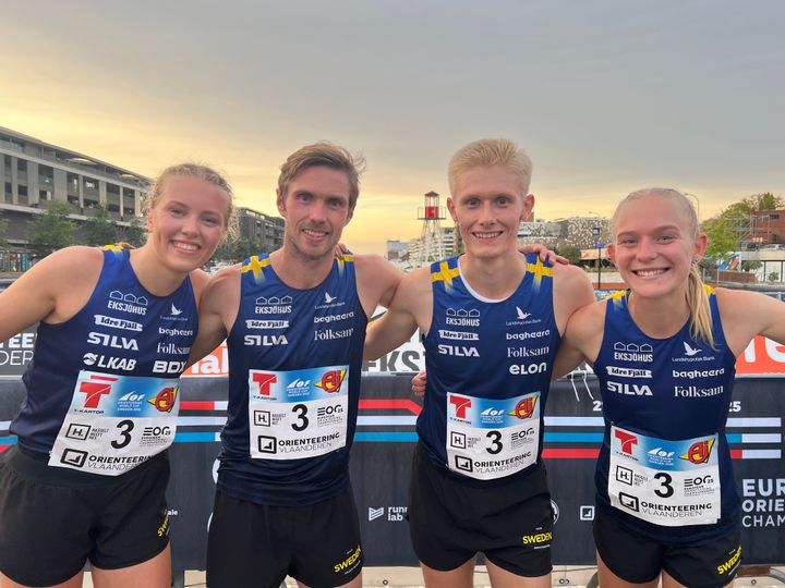 Sveriges EM-bronslag