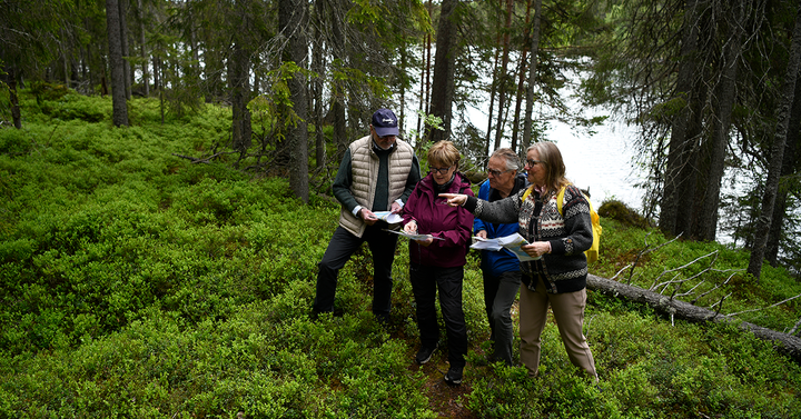 O65+ startade i Bollnäs och sprids nu i hela Sverige