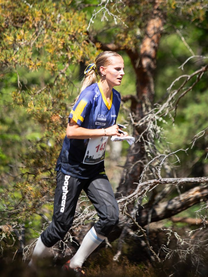 Signe Hördegårdh, IFK Göteborg Orientering