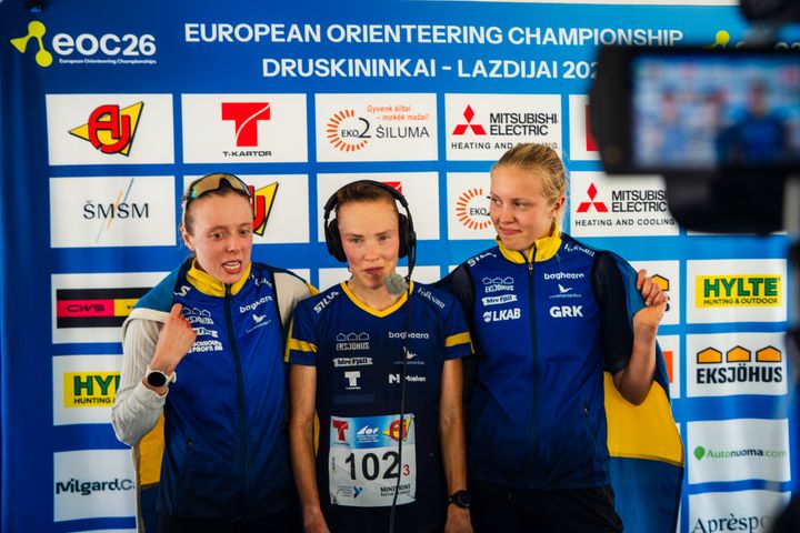 EM blev en framgång både sportsligt och tittarmässigt