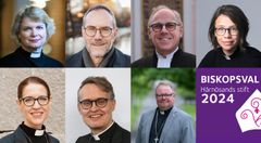 Sju präster från olika delar av landet kandiderar i valet av biskop för Härnösands stift.