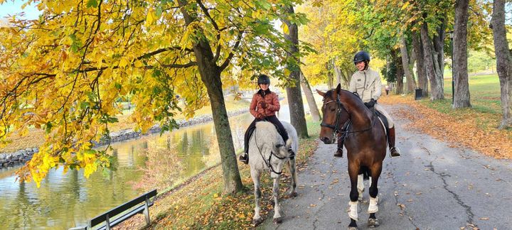 Alt-text: Två personer rider på hästar på en stig omgivet av höstlöv i en park.