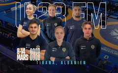 Bild på den svenska truppen