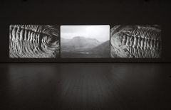 Saara Ekström - GEOPSYCHE.