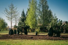 I Nyby planteras snabbväxande och stora trädarter som poppel, lind, ek, valnöt, tall och lärk. Dessutom en del körsbärsplommon, magnolia, körsbärskornell och sälg som bidrar med blomning, form och värden för djurlivet. Foto: Poul Enger.