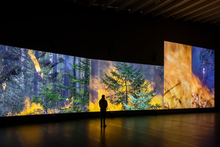 Eija-Liisa Ahtilas A Possible Image – of what is just becoming reality, är höstens stora utställning på Uppsala konstmuseum. Här, Reflection of a Forest (2025), installationsbild Serlachius Museum. Foto: Sampo Linkoneva.