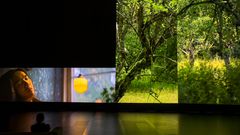 Eija-Liisa Ahtila, Reflection of a Forest (2025) från Serlachius museum, Yinsuo i ödehus. Foto: Ilppo-Pohjola.