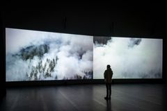 Eija-Liisa Ahtila, stillbild från videoverket Reflection of a Forest (2025). Serlachius Museum. Foto: Ilppo Pohjola.