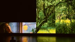 Eija-Liisa Ahtila, Reflection of a Forest, 2025, Yinsuo sleeping. Photo: Ilppo Pohjola.