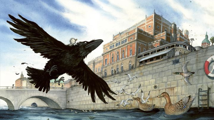 Korpen Manfred – Stockholms första fågeldetektiv. Illustration av Marcus-Gunnar Pettersson.