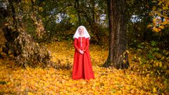 1520-tal: röd klänning.